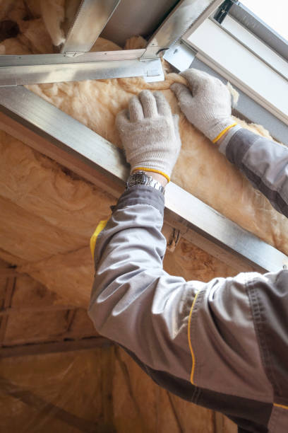 Best Cellulose Insulation in Whiting, WI